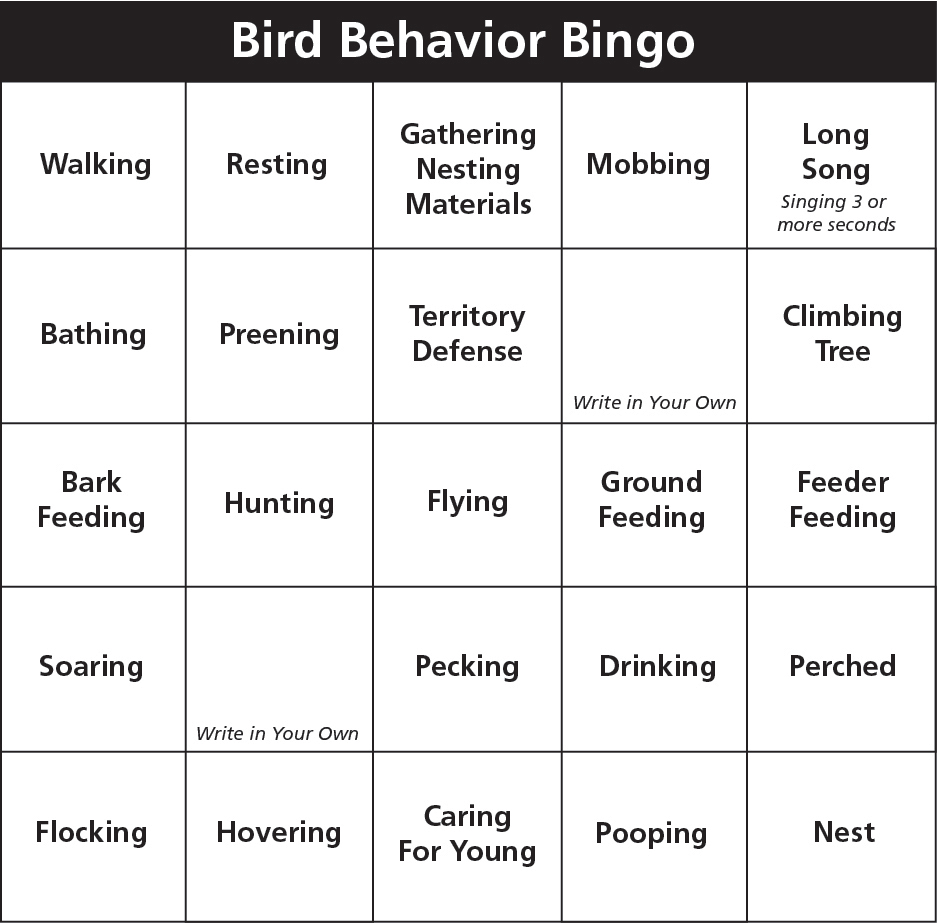 A bingo card with 5 rows and 5 columns of boxes in it