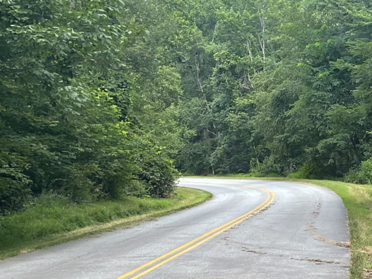Section of newly reopened Blue Ridge Parkway near Bamboo Gap.