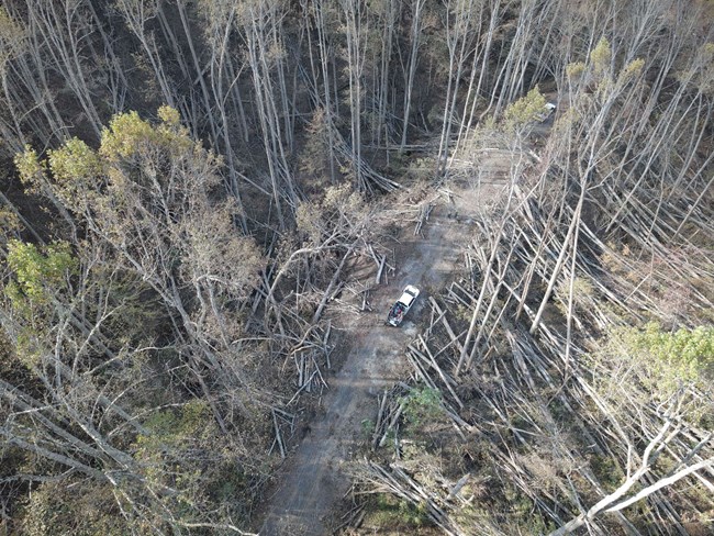 truck on Parkway covered with downed trees and debris