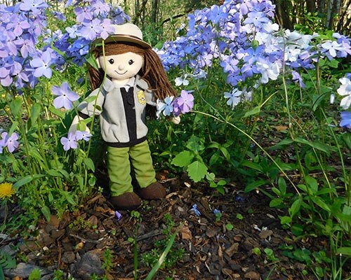 A rag doll dressed like a female park ranger stands in a patch of purple wildflowers