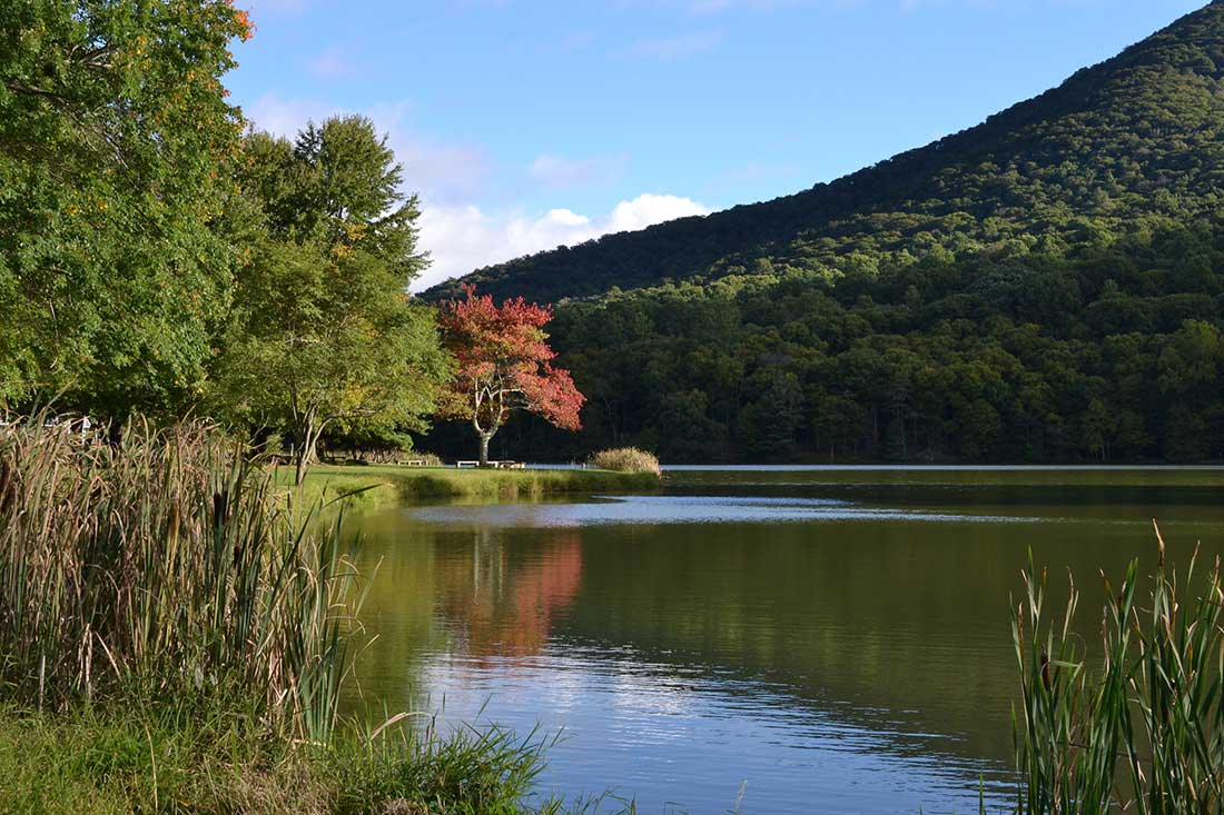 A mountain rises up behind a lake. Cattail rushes line the near bank of the lake.