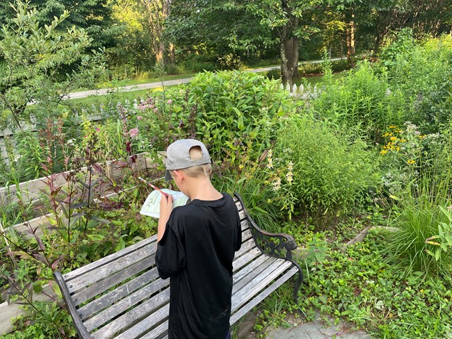 Child holding workbook in hand looking a pollinator garden