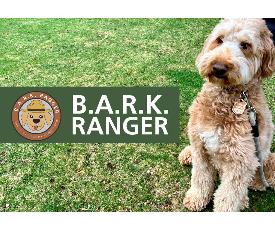 B.A.R.K. Ranger Florence, a blonde dog sits proudly wearing her badge. The B.A.R.K. Ranger logo figures prominently on the image's left