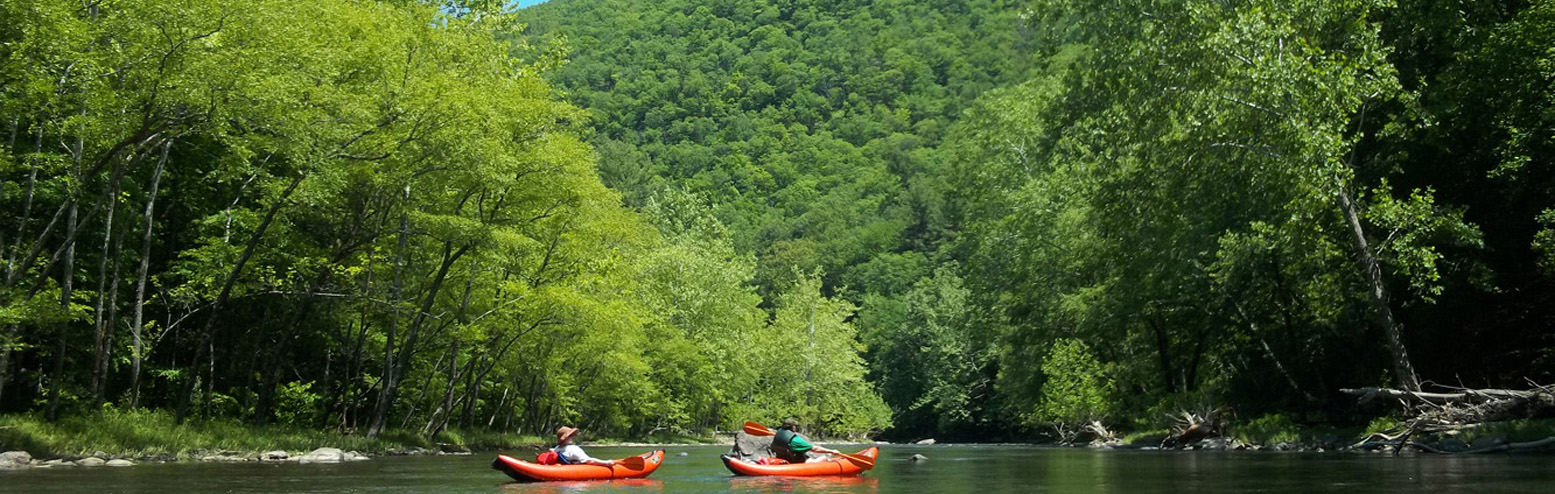 Kayakers on the river