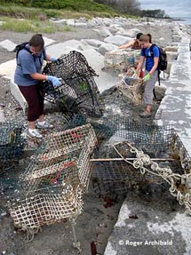 volunteers haul broken lobster traps off of the beach.