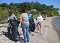 Volunteers pick up trash on the shoreline.