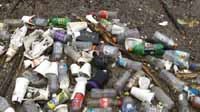 An astounding amount of cans, bottles and beverage cups are collected at a cleanup.