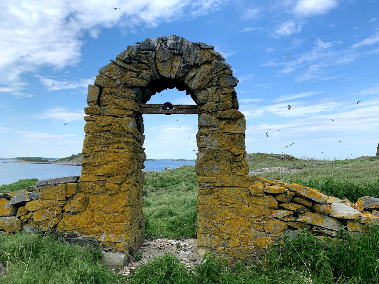 a stone archway stands alone amidst green shrubs and grass