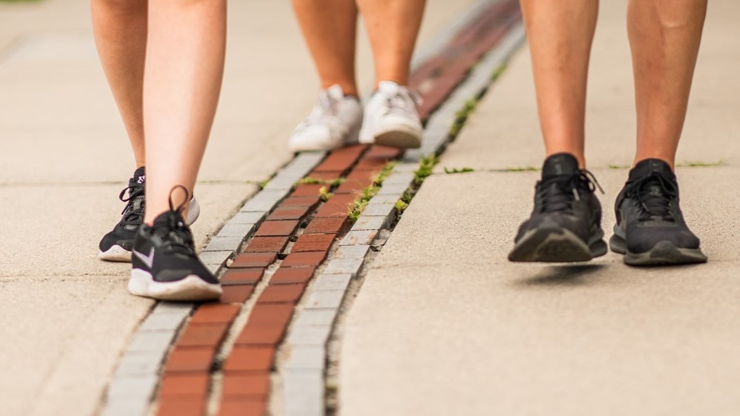 People walking along a red brick line in the sidewalk.