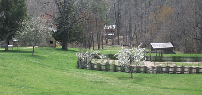 A scene with a large expanse of grass and a fenced garden area, with a rustic cabin and outbuildings in the background.