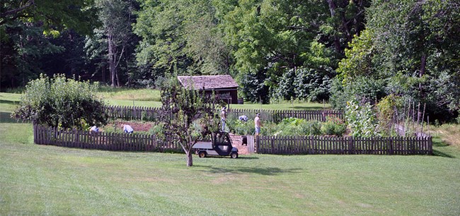 A group of gardeners from the Heirloom Garden volunteer Team tends the garden.