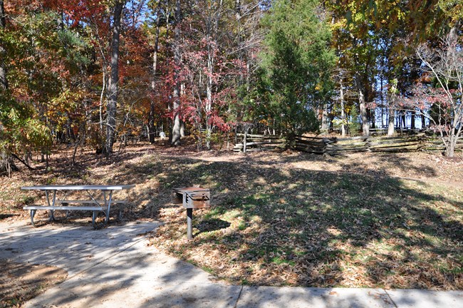 A wooded area during the autumn with picnic tables.