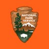 NPS Logo orange background 100x100