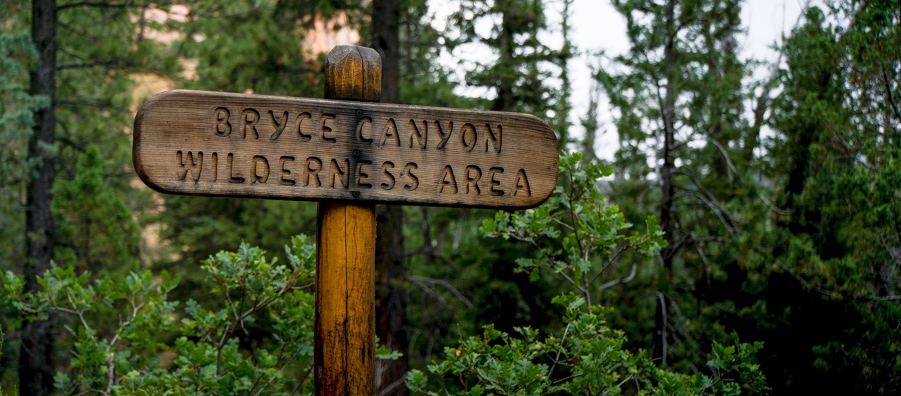 A wooden sign reads "Bryce canyon wilderness area"