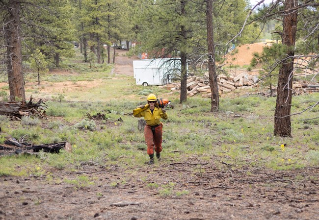 A firefighter in uniform carries a chainsaw over her shoulder