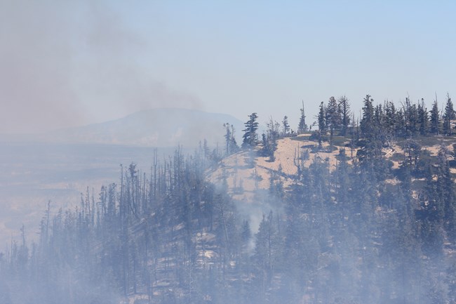 A mountain covered with dark green trees can be seen through a haze of gray smoke