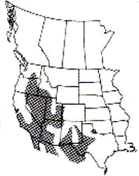 image depicting the habitat range of the Side-blotched Lizard in North America