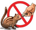 Do Not Feed Wildlife 2016