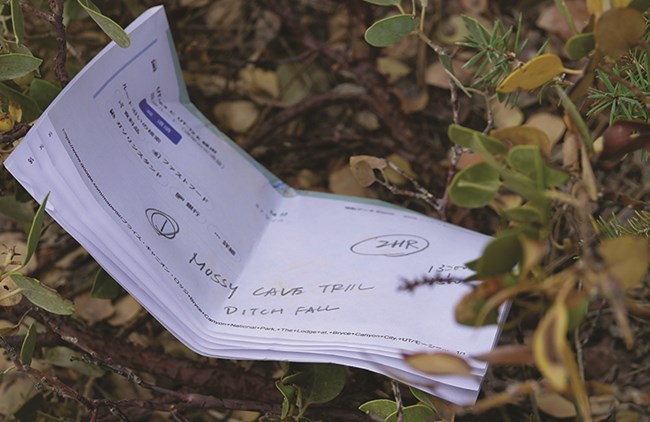 Piece of paper describing a park trail discarded in a bush