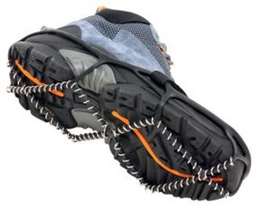 Traction device for shoes