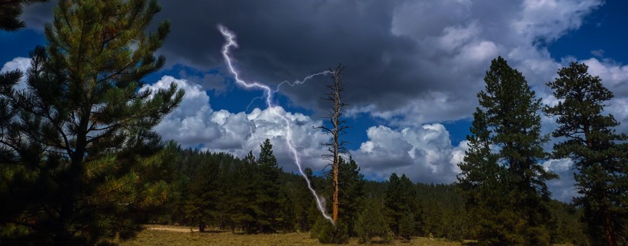 Lightning striking a dead ponderosa pine