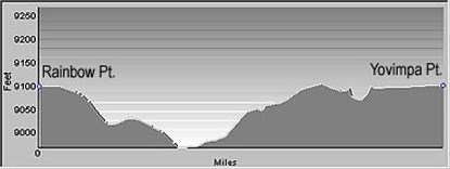 Bristlecone Loop Profile showing elevation changes