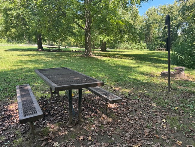 Carver Campground Site #4
