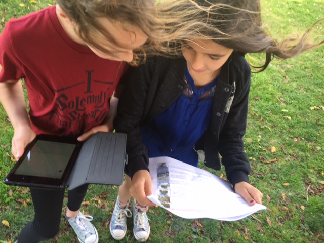 Students identify plants and collect data.