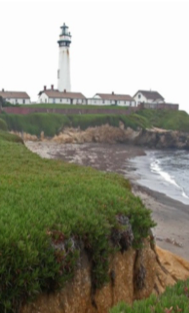 Cliffs below lighthouse show iceplant