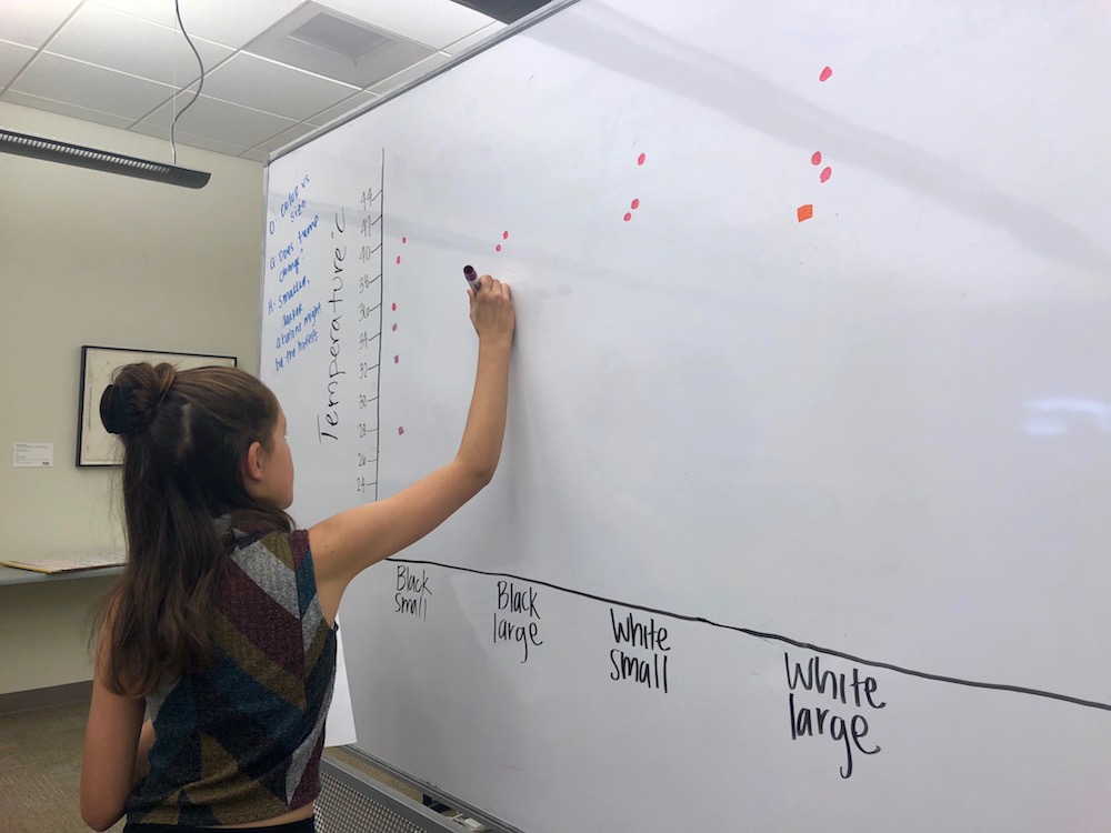 Students record data on whiteboard to compare temperature readings of tidepool animals during EcoLogik workshop