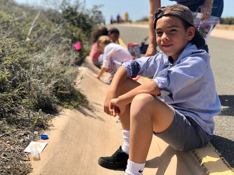 Citizen Scientists patiently surveys the area for any signs of ants.