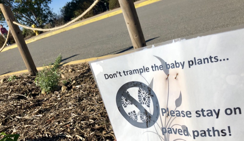 Posted sign in vegetation stating, 