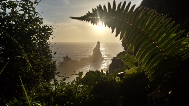 Sunsets over the water at Olympic National Park