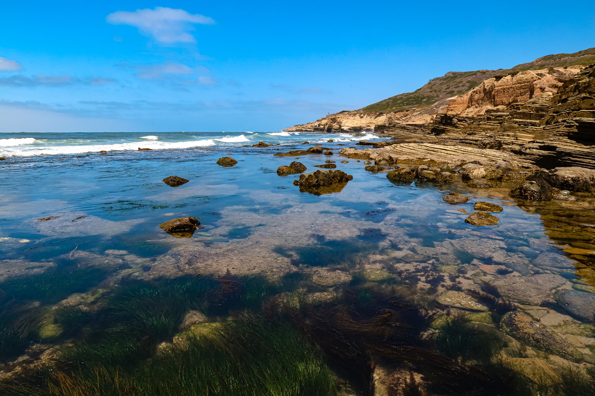 Green and brown algae grows in a tidepool composed of jumbled rocks. Weathered sandy cliffs and the white caps of ocean waves can be seen in the background.