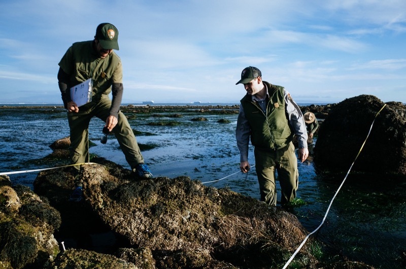 Scientists monitoring the tidepools Scientists monitoring the tidepools