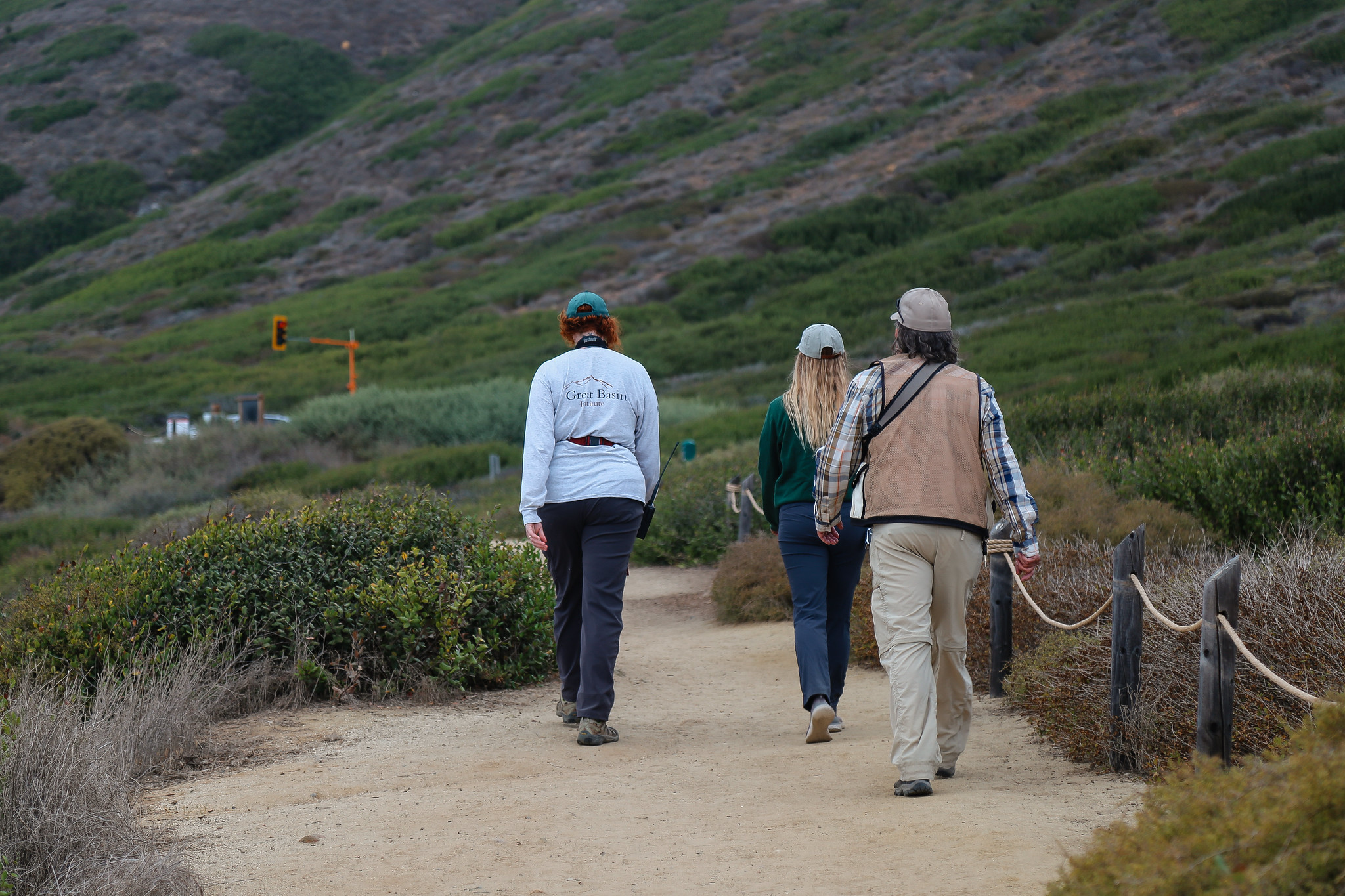 Terrestrial Bird Monitoring Crew Two women and one man walking down a dirt path with coastal sage scrub plants lining the trail on both sides.