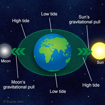 Tides Graph Graph showing what causes tides