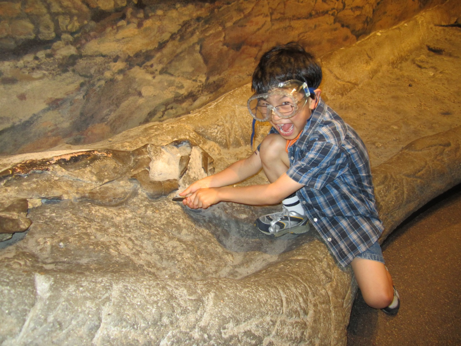 Young Kazune a young Kazune wearing a blue checkered shirt and safety goggles crouches excitedly on a large fossil, pretending to dig it up.