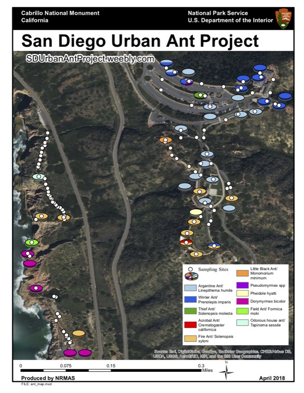Argentine Ant Survey Map