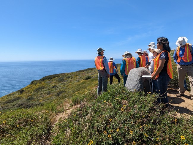 Volunteers in orange safety vests face the bright blue sky and Pacific Ocean as they gather around a park staff member.