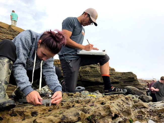 Scientists performing tidepool monitoring