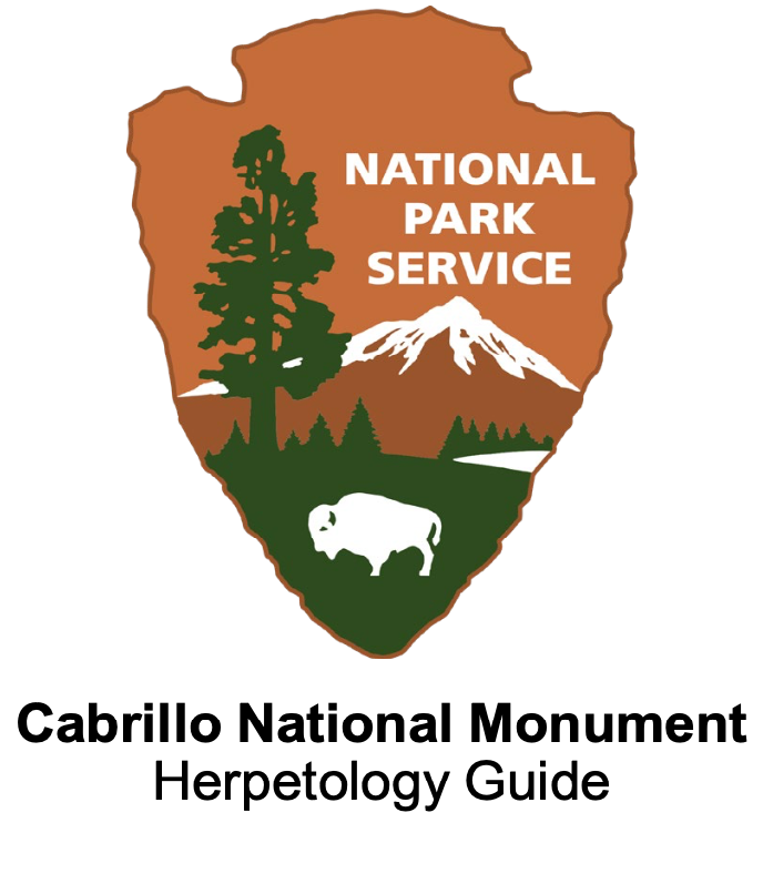 NPS Arrowhead with title Cabrillo National Monument Herpetology Field Guide