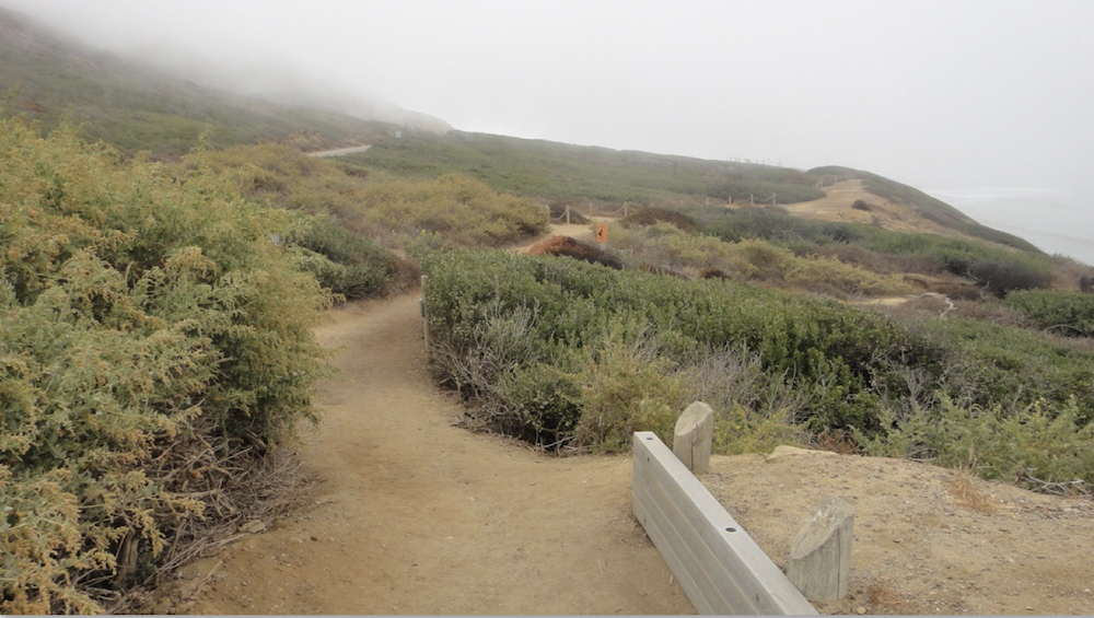 A sandy path winds it's way down the hill.