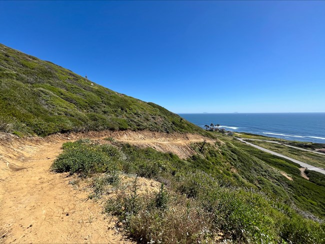 View along a dirt path on a hillside. Low green vegetation surrounds the path. The ocean is in the distance.