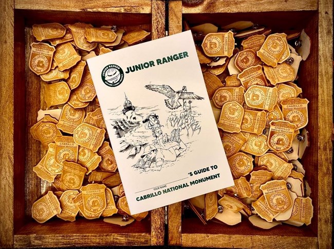 Junior ranger badges and a JR booklet in a box.