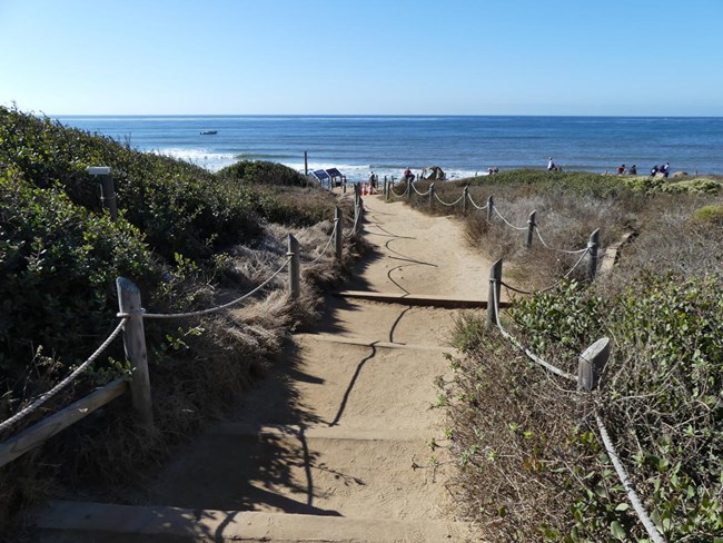 Stairs along a dirt path with low lying shrubs on both sides. The ocean is in the distance.