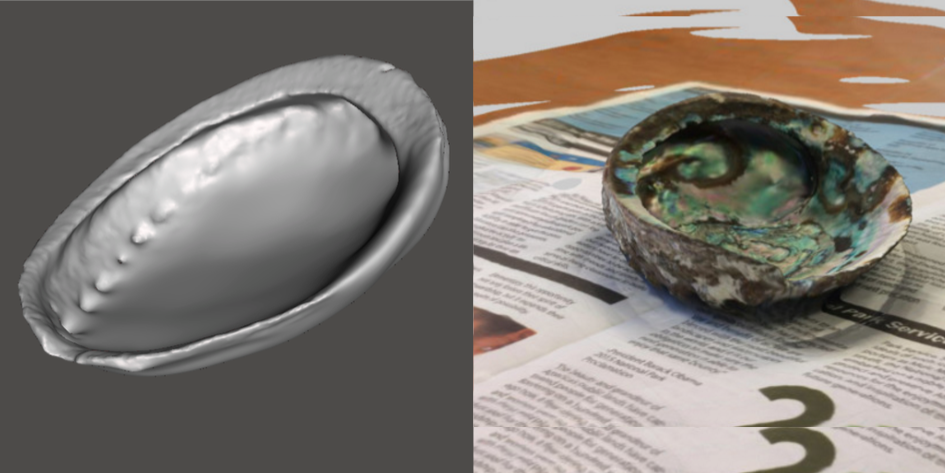 Photo showing 3d model of Green Abalone