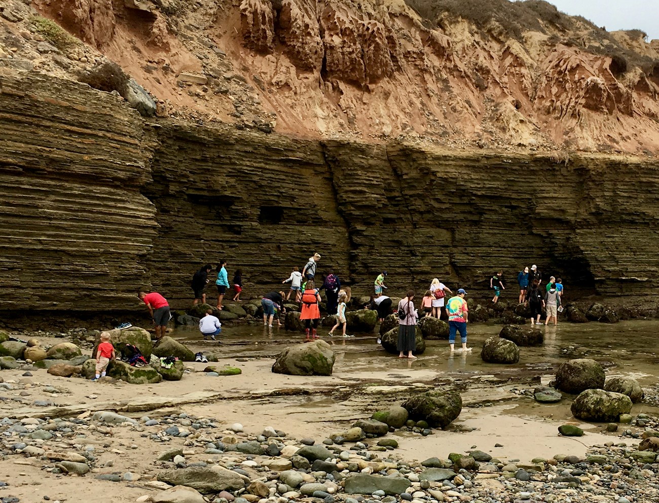 A variety of visitors walking and exploring the tidepools with brown sandstone cliffs in the background