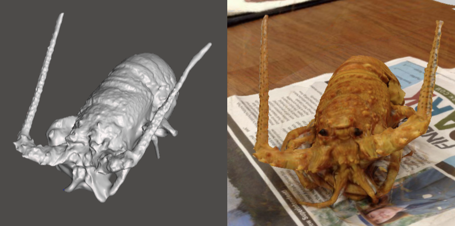 Photo showing 3d model of a Spiny Lobster