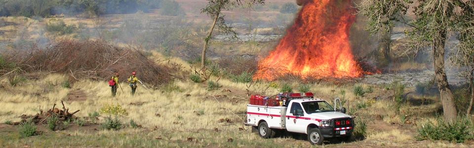 NPS firefighters watching over control burn of brush piles